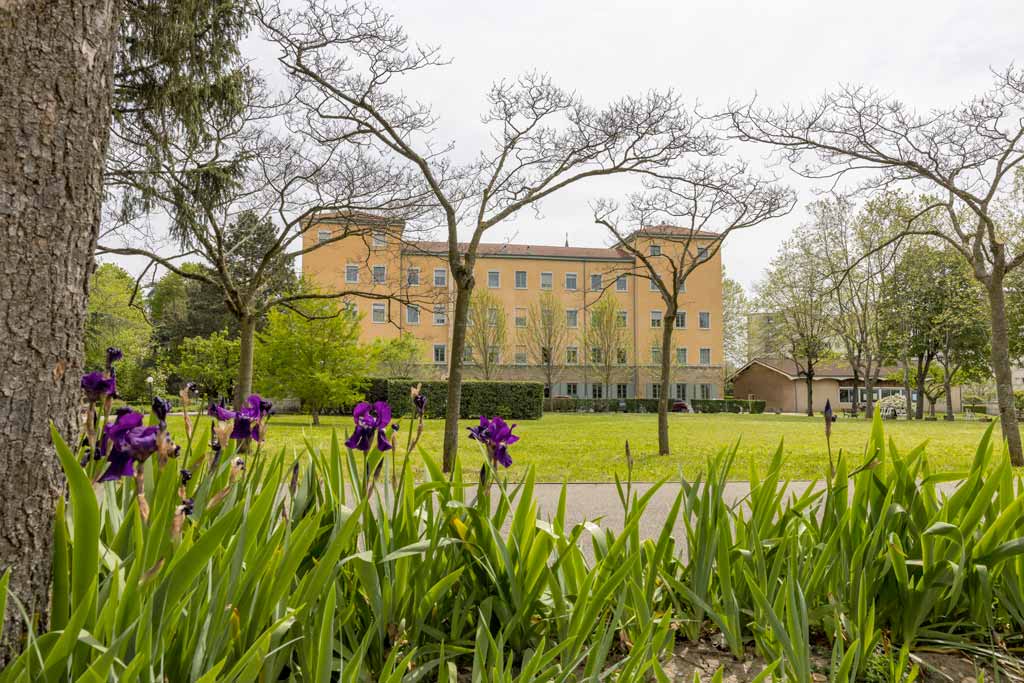 ecole_trinitaires_lyon_010